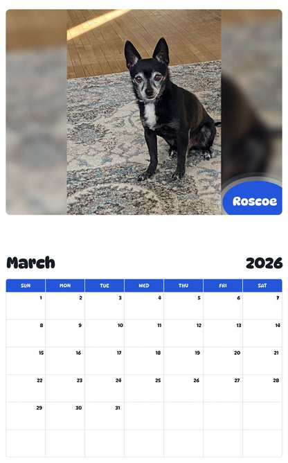 November 2025 - October 2026 Roscoe - Pawidols Pet Calendar