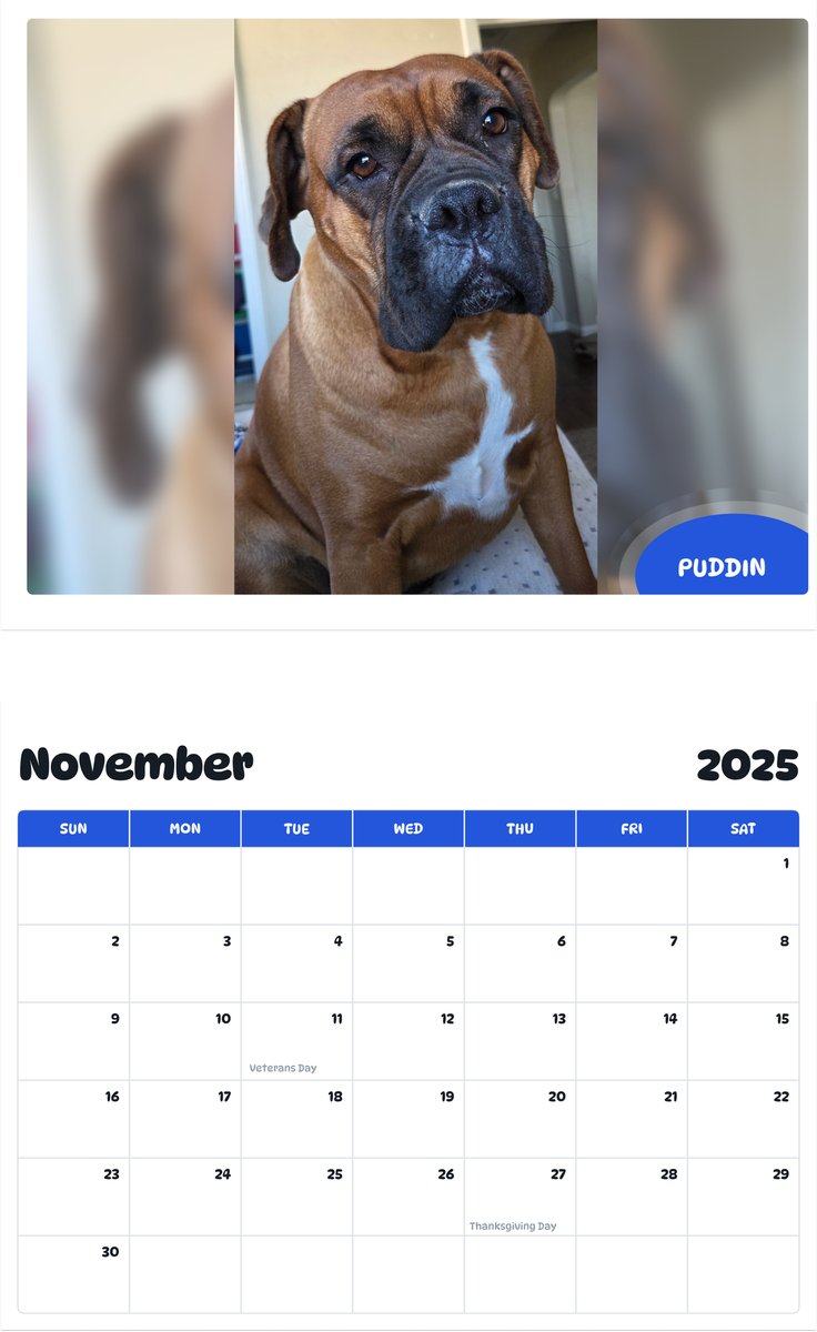 July 2025 - June 2026 Puddin - Pawidols Pet Calendar