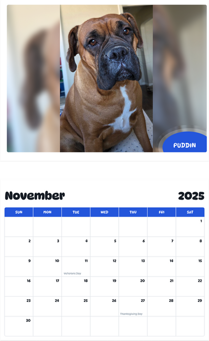 July 2025 - June 2026 Puddin - Pawidols Pet Calendar