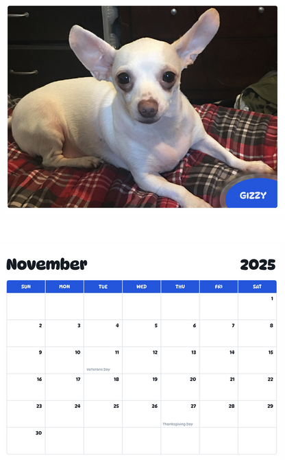 July 2025 - June 2026 Gizzy - Pawidols Pet Calendar