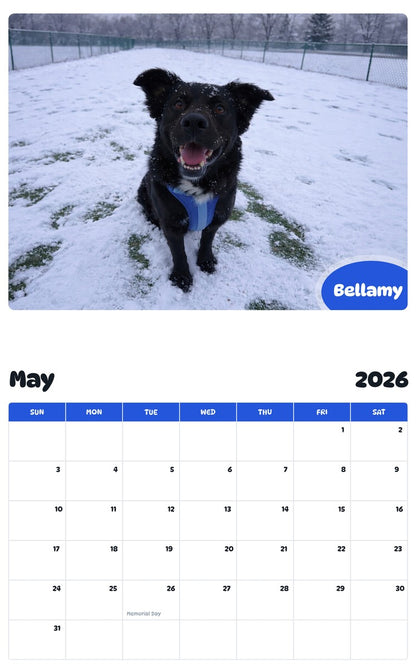 2026 - 2027 Bellamy - Pawidols Pet Calendar
