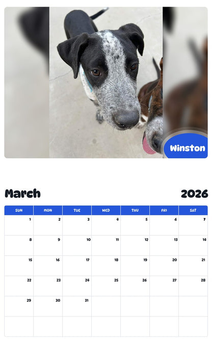 November 2025 - October 2026 Winston - Pawidols Pet Calendar