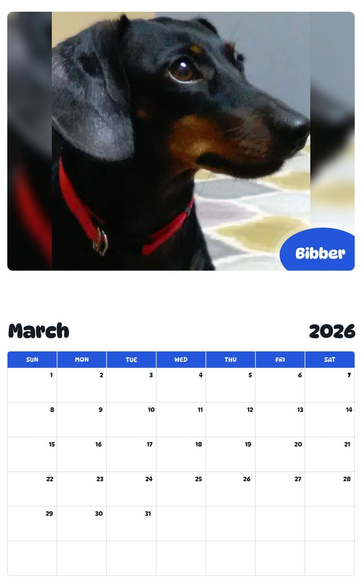 November 2025 - October 2026 Bibber - Pawidols Pet Calendar