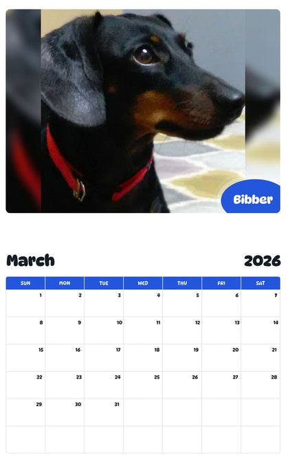 November 2025 - October 2026 Bibber - Pawidols Pet Calendar