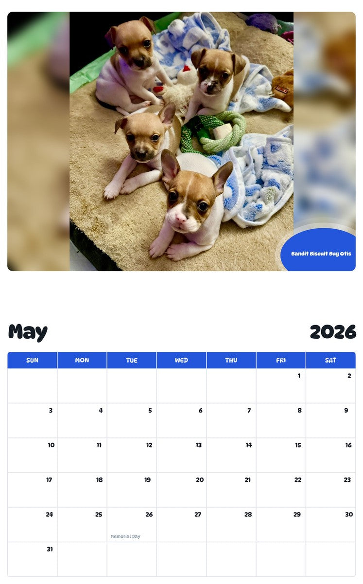 2026 - 2027 Bandit Biscuit Bug Otis - Pawidols Pet Calendar