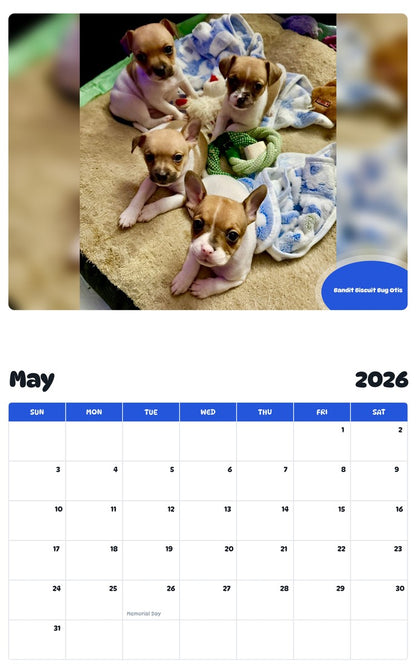 2026 - 2027 Bandit Biscuit Bug Otis - Pawidols Pet Calendar