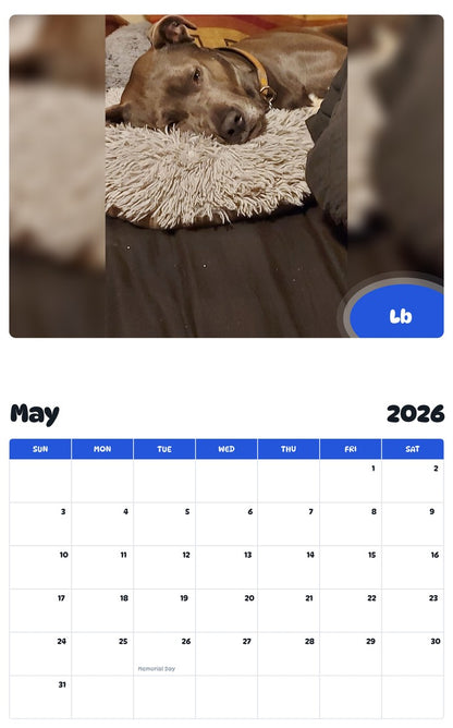 2026 - 2027 Lb - Pawidols Pet Calendar