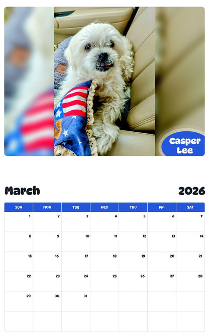 November 2025 - October 2026 Casper Lee - Pawidols Pet Calendar