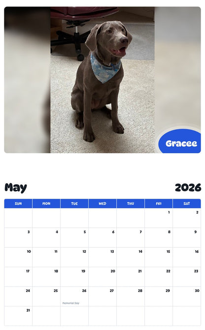 2026 - 2027 Gracee - Pawidols Pet Calendar