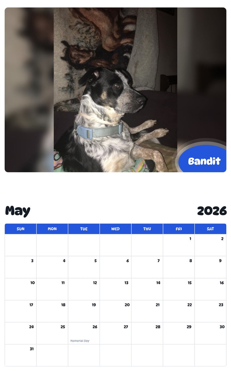 2026 - 2027 Bandit - Pawidols Pet Calendar
