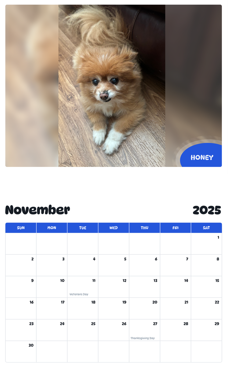 July 2025 - June 2026 Honey - Pawidols Pet Calendar