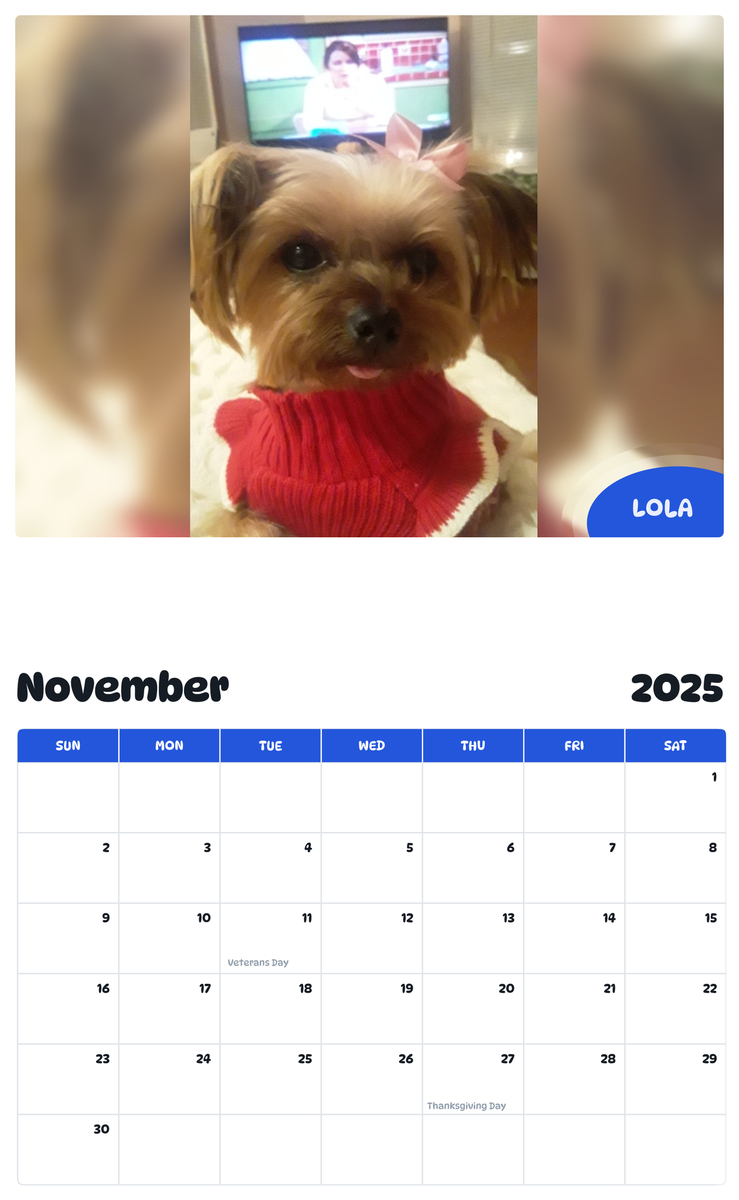 July 2025 - June 2026 Lola - Pawidols Pet Calendar