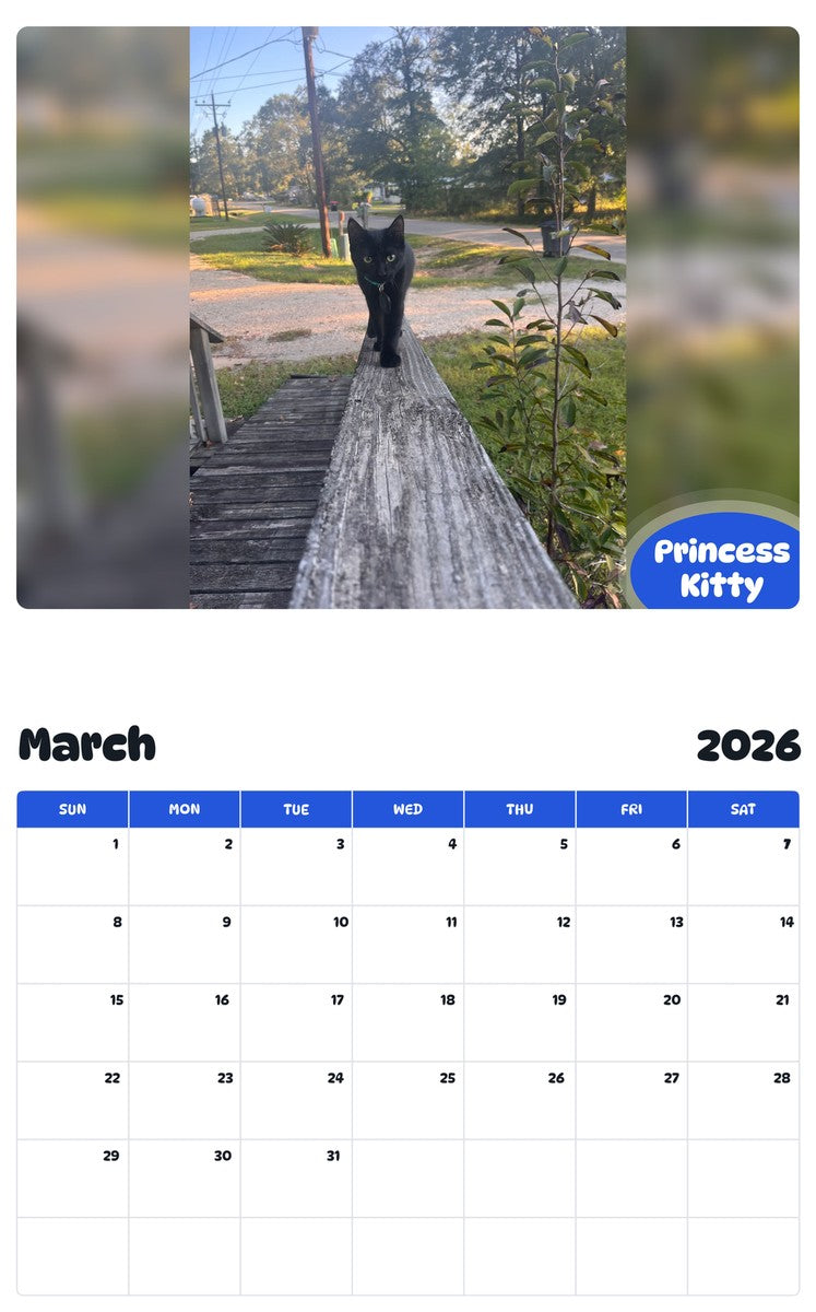 November 2025 - October 2026 Princess Kitty - Pawidols Pet Calendar