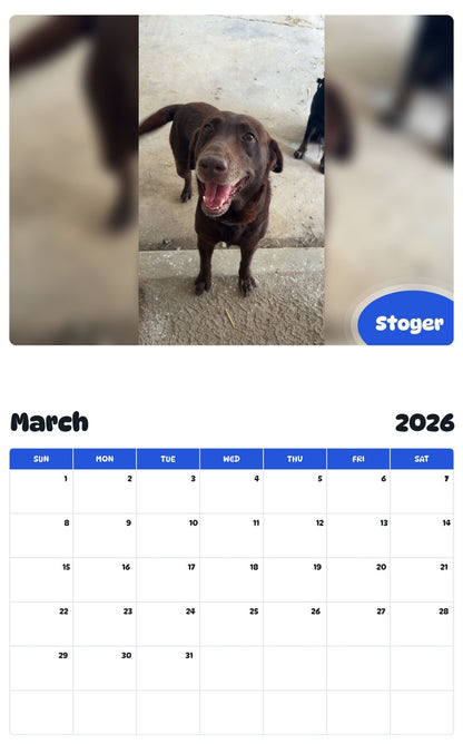 November 2025 - October 2026 Stoger - Pawidols Pet Calendar