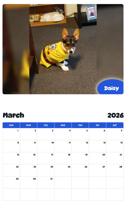 November 2025 - October 2026 Daisy - Pawidols Pet Calendar