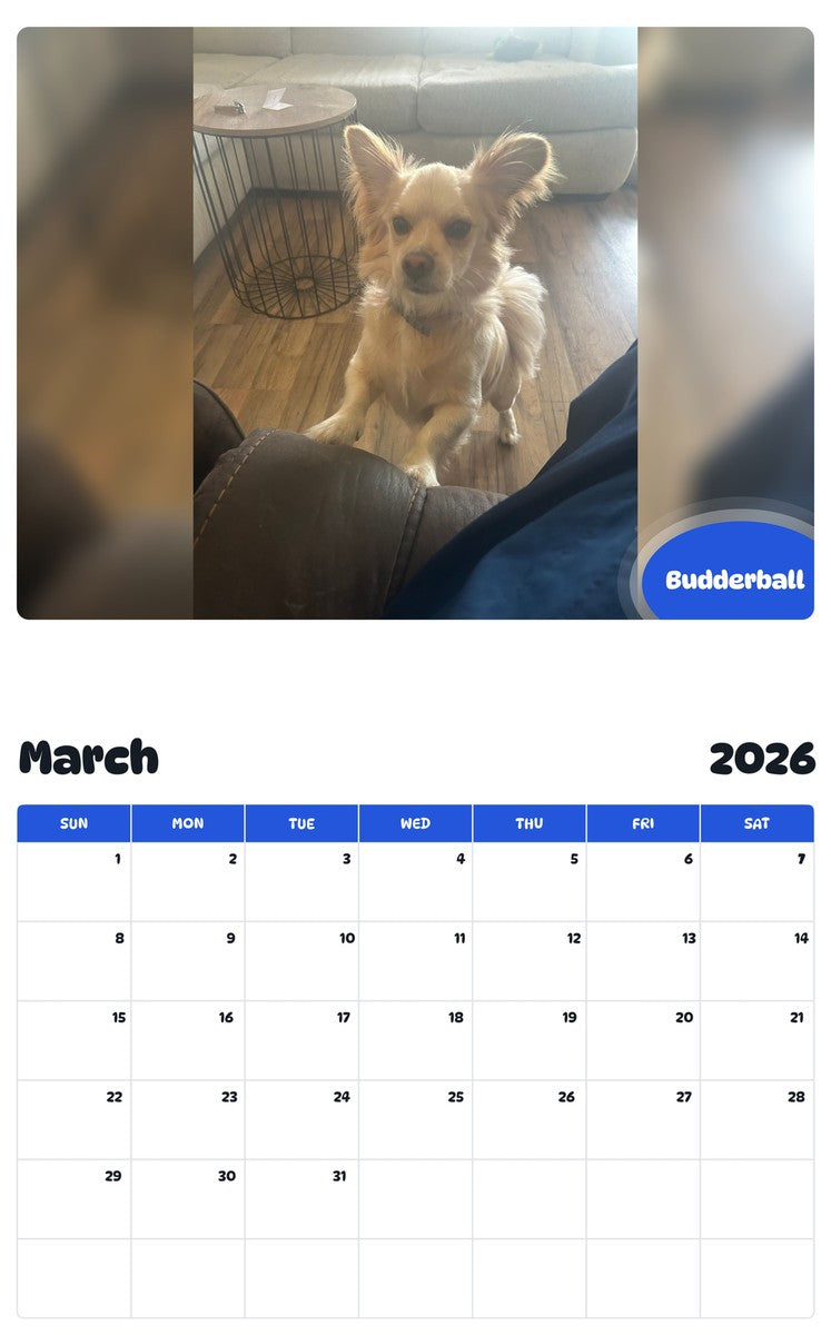 November 2025 - October 2026 Budderball - Pawidols Pet Calendar