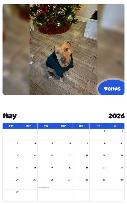 2026 - 2027 Venus - Pawidols Pet Calendar