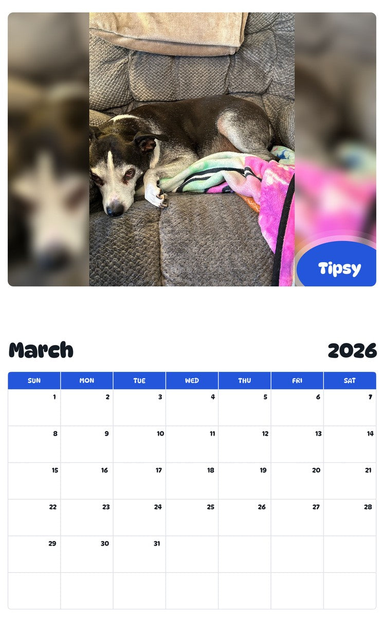 November 2025 - October 2026 Tipsy - Pawidols Pet Calendar