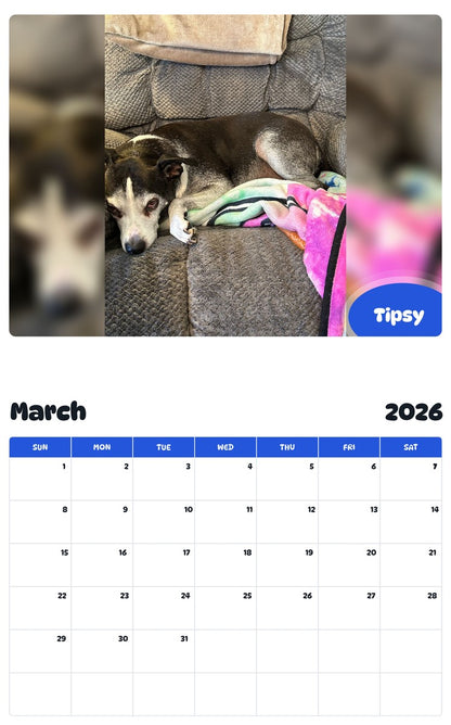 November 2025 - October 2026 Tipsy - Pawidols Pet Calendar