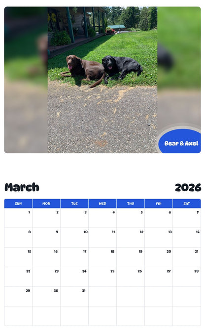 November 2025 - October 2026 Bear & Axel - Pawidols Pet Calendar