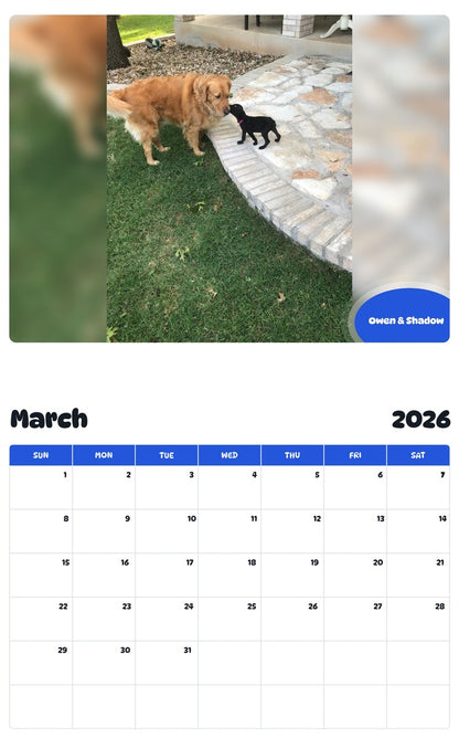 November 2025 - October 2026 Owen & Shadow - Pawidols Pet Calendar
