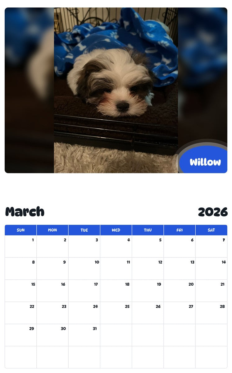 November 2025 - October 2026 Willow - Pawidols Pet Calendar