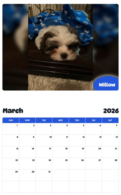November 2025 - October 2026 Willow - Pawidols Pet Calendar