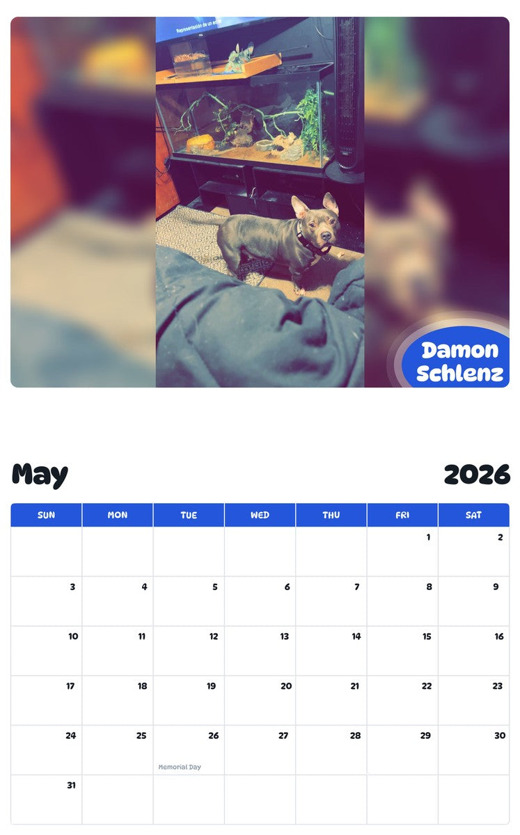2026 - 2027 Damon Schlenz - Pawidols Pet Calendar