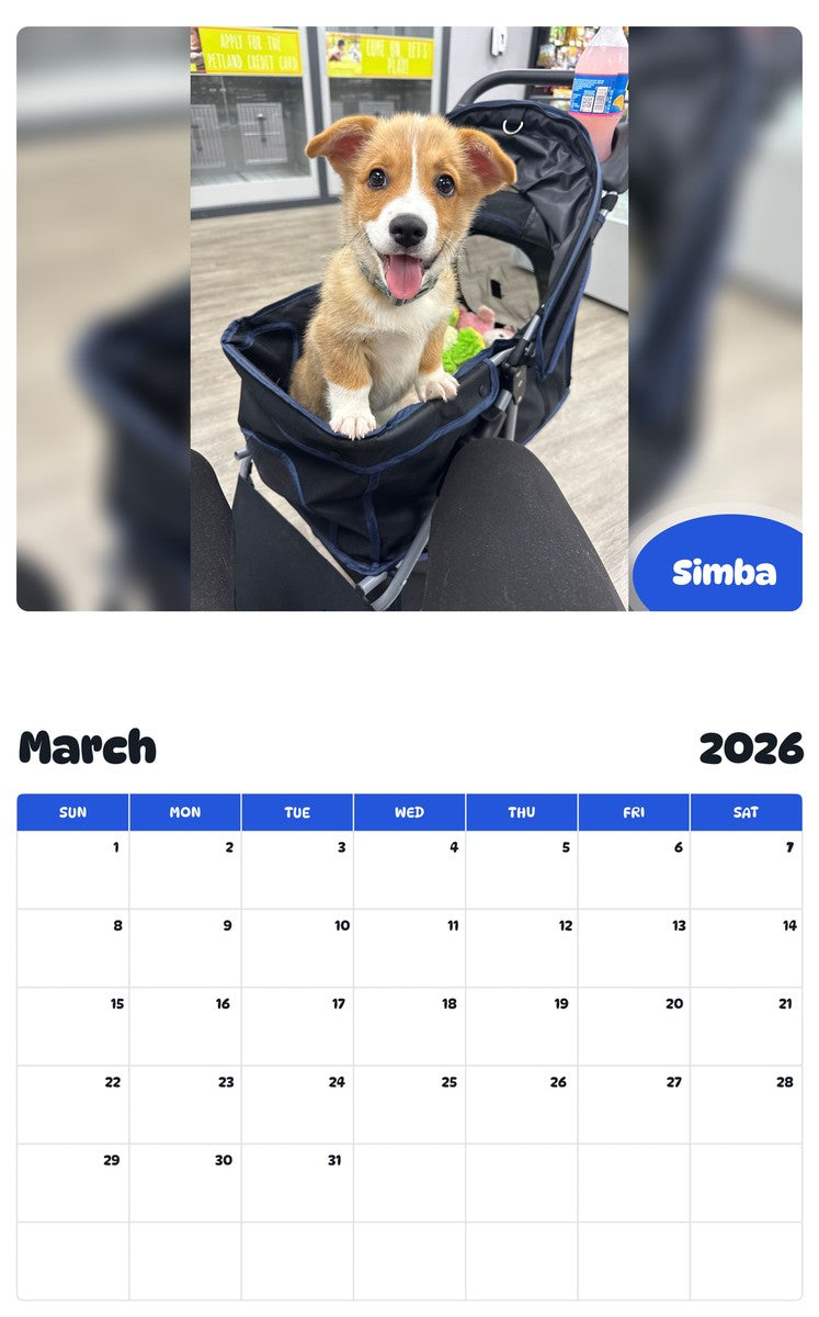 November 2025 - October 2026 Simba - Pawidols Pet Calendar