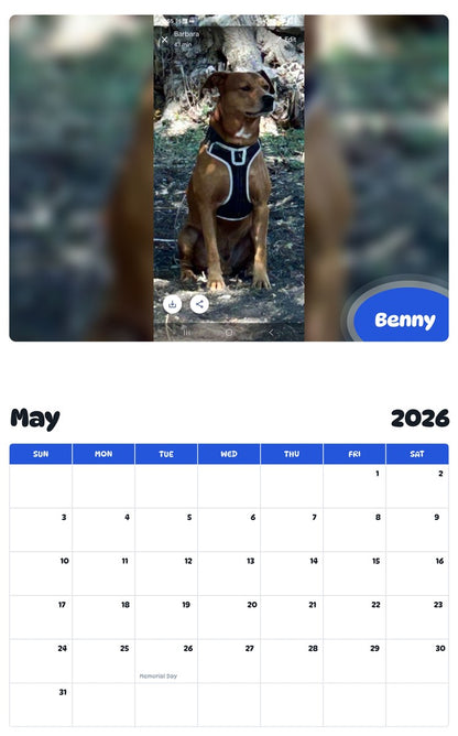 2026 - 2027 Benny - Pawidols Pet Calendar