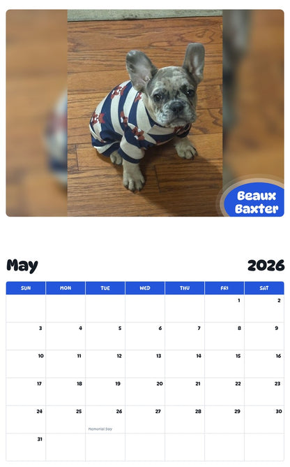 2026 - 2027 Beaux Baxter - Pawidols Pet Calendar