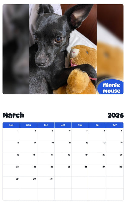 November 2025 - October 2026 Minnie mouse - Pawidols Pet Calendar