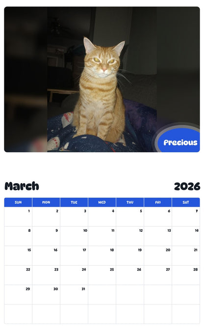 November 2025 - October 2026 Precious - Pawidols Pet Calendar