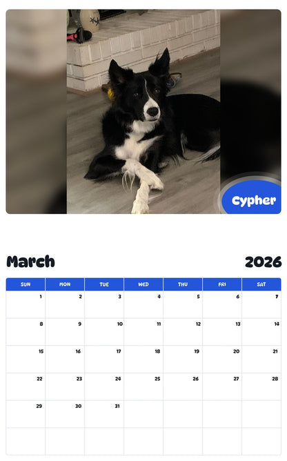 November 2025 - October 2026 Cypher - Pawidols Pet Calendar