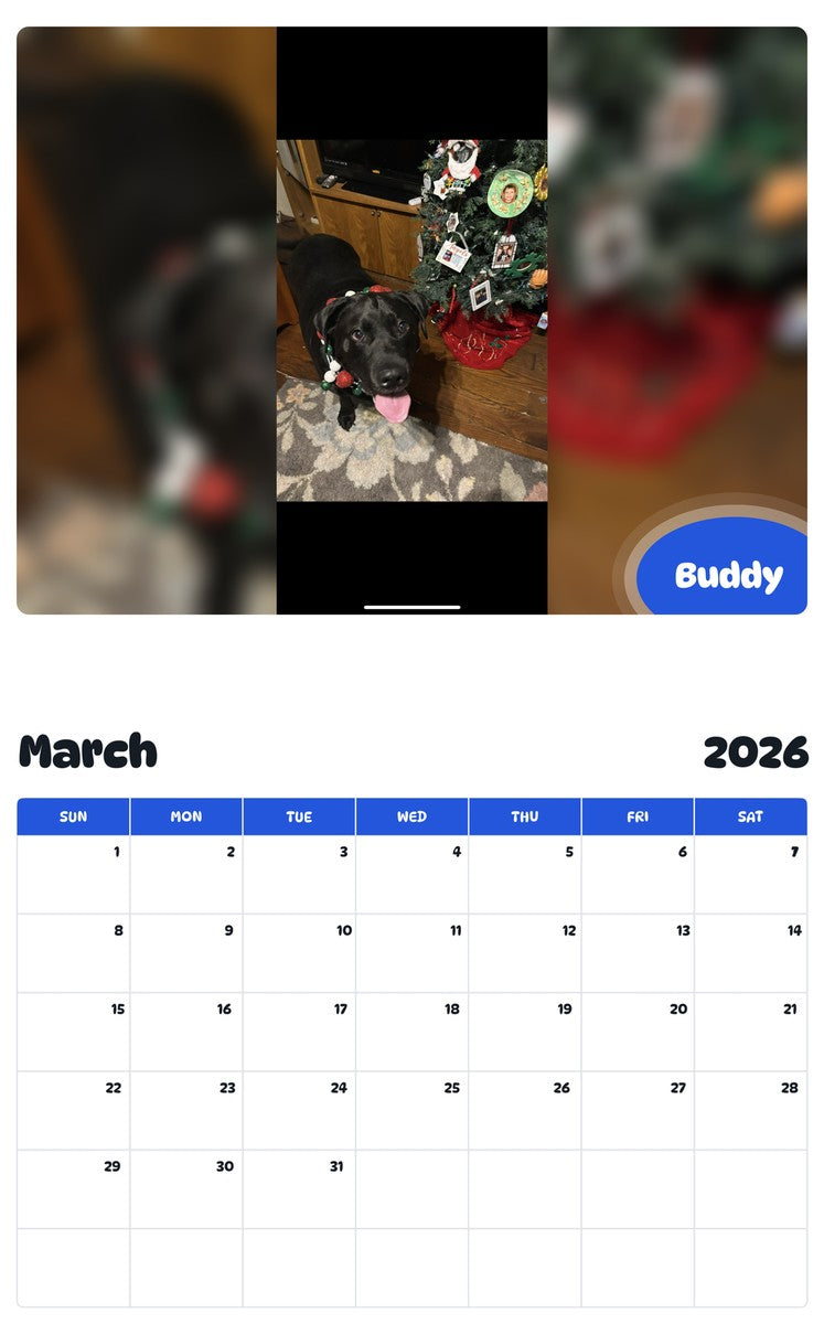 November 2025 - October 2026 Buddy - Pawidols Pet Calendar