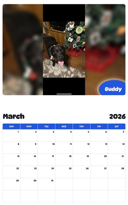 November 2025 - October 2026 Buddy - Pawidols Pet Calendar
