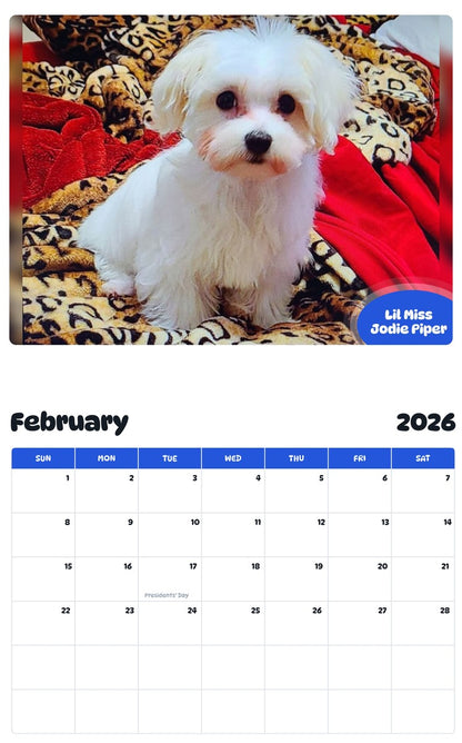 October 2025 - September 2026 Lil Miss Jodie Piper - Pawidols Pet Calendar