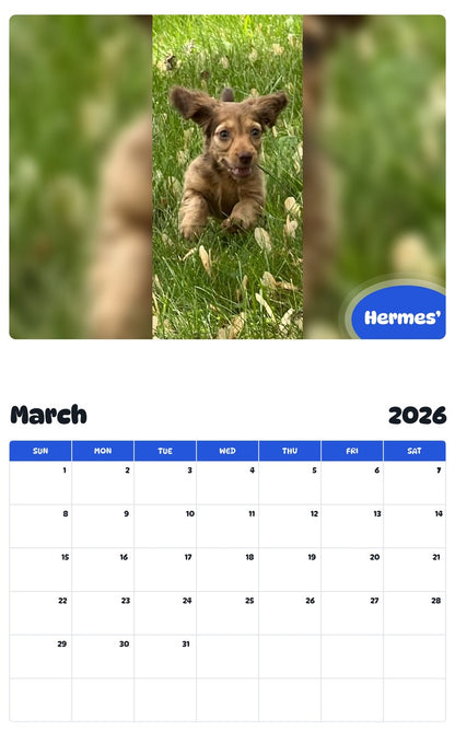 November 2025 - October 2026 Hermes’ - Pawidols Pet Calendar