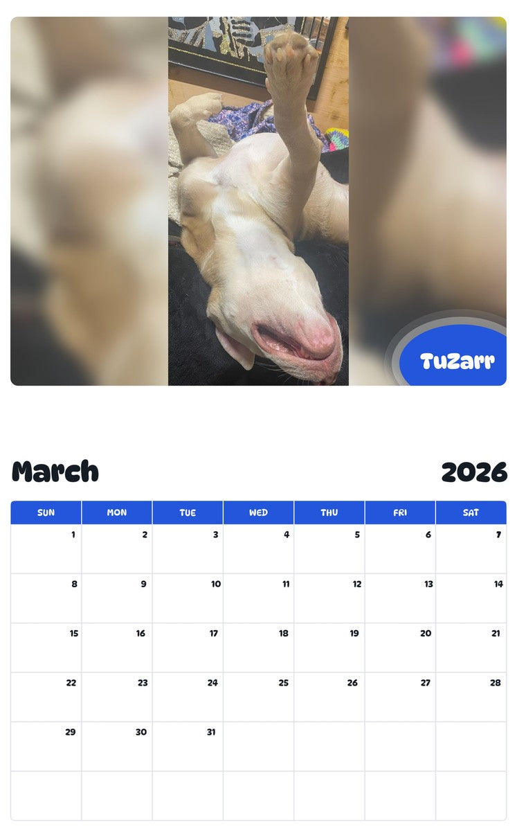 November 2025 - October 2026 TuZarr - Pawidols Pet Calendar