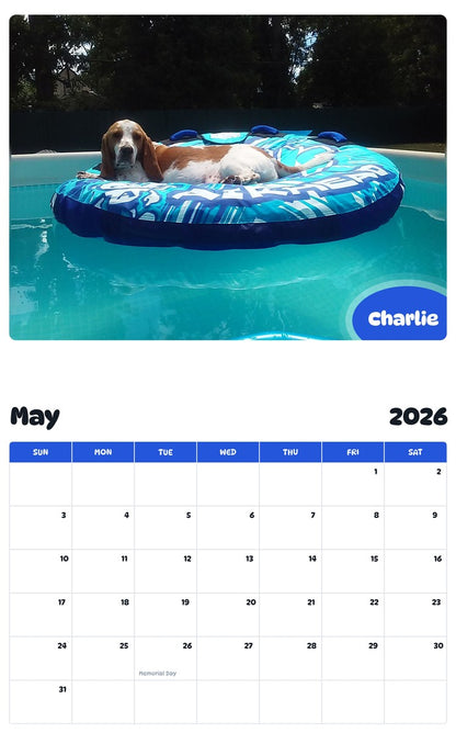 2026 - 2027 Charlie - Pawidols Pet Calendar