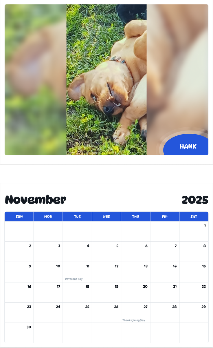 July 2025 - June 2026 Hank - Pawidols Pet Calendar