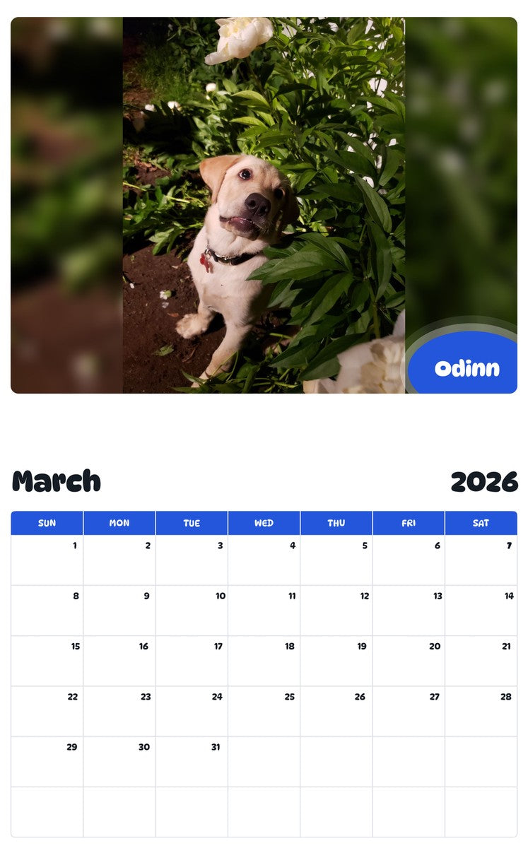 November 2025 - October 2026 Odinn - Pawidols Pet Calendar