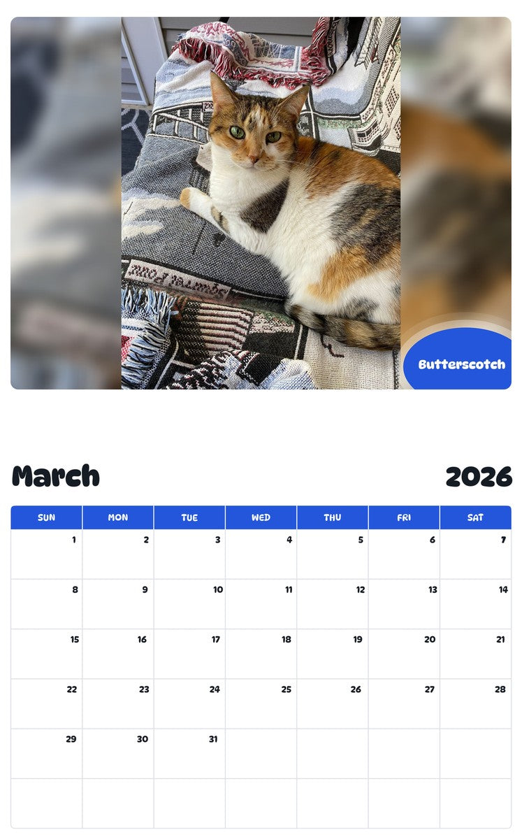 November 2025 - October 2026 Butterscotch - Pawidols Pet Calendar