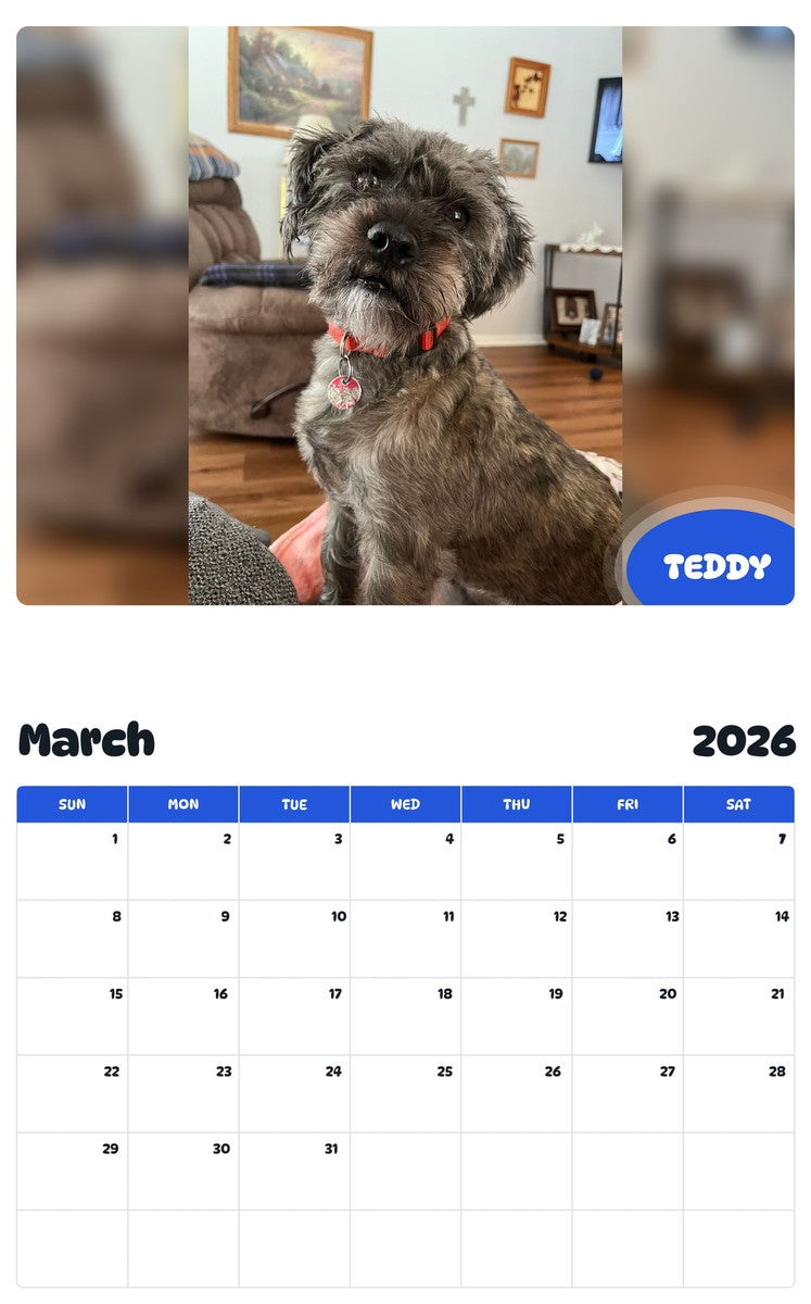 November 2025 - October 2026 TEDDY - Pawidols Pet Calendar