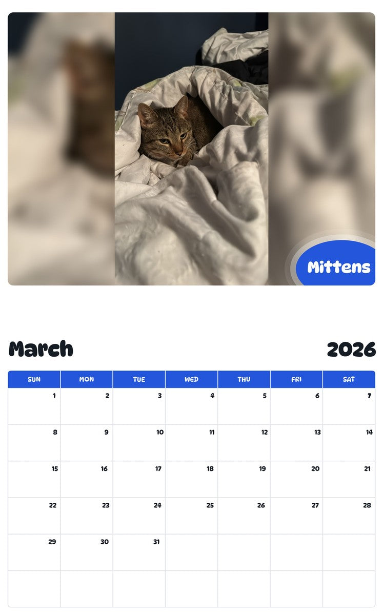 November 2025 - October 2026 Mittens - Pawidols Pet Calendar