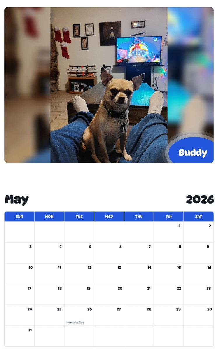 2026 - 2027 Buddy - Pawidols Pet Calendar
