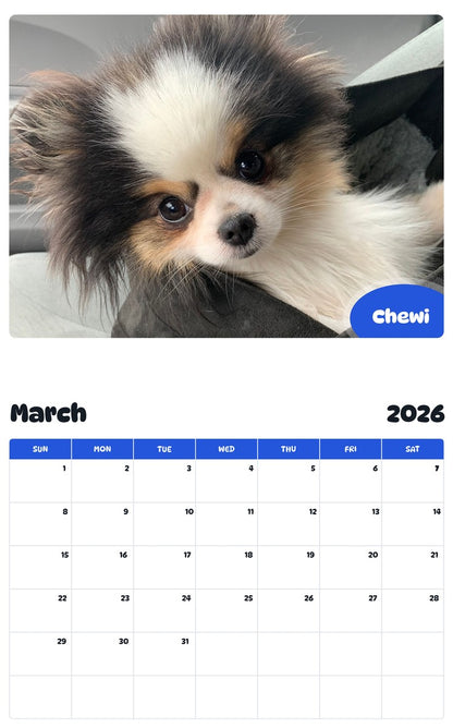 November 2025 - October 2026 Chewi - Pawidols Pet Calendar
