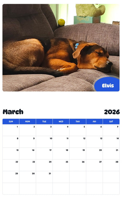November 2025 - October 2026 Elvis - Pawidols Pet Calendar