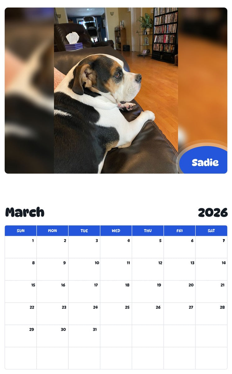 November 2025 - October 2026 Sadie - Pawidols Pet Calendar