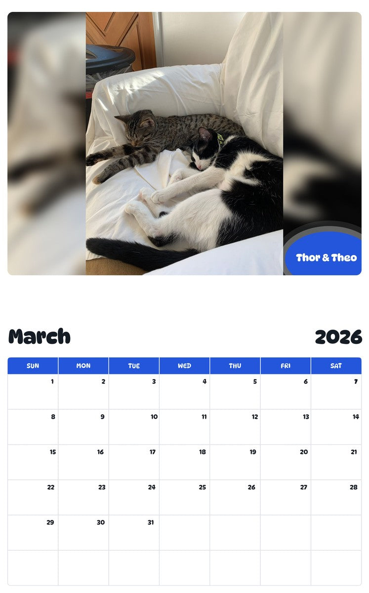 November 2025 - October 2026 Thor & Theo - Pawidols Pet Calendar